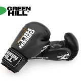 GREEN HILL BOXING  ракавици Panther